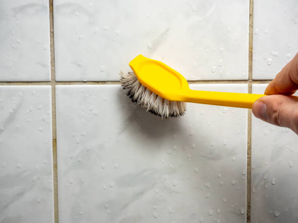 Water Damage Restoration in Lake Odessa, MI