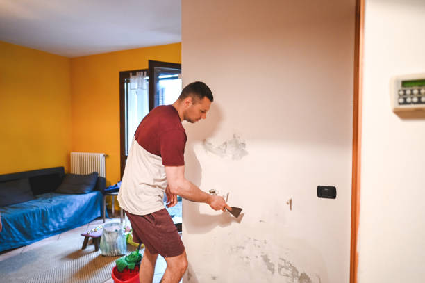 Best Toxic Mold Removal  in Lake Odessa, MI